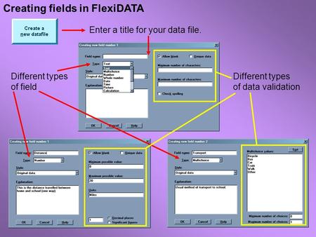 Creating fields in FlexiDATA Enter a title for your data file. Different types of field Different types of data validation.