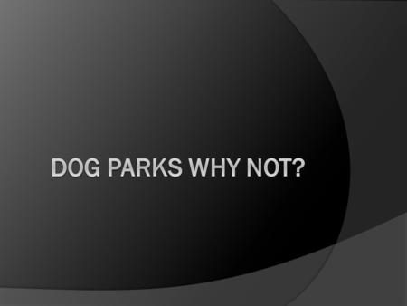 Is There a Problem?  I’m John Doe and I don’t see why not to have a dog park? We humans get to walk around mostly anywhere we want while dogs are fenced.