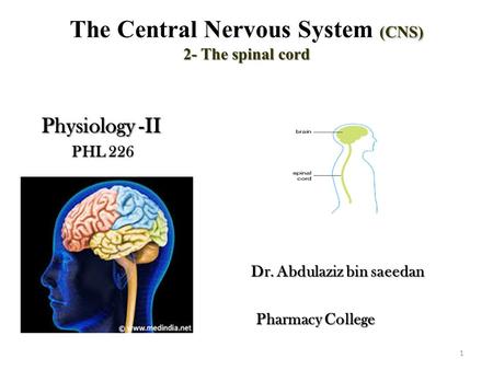 (CNS) 2- The spinal cord The Central Nervous System (CNS) 2- The spinal cord Physiology -II Physiology -II PHL 226 PHL 226 Dr. Abdulaziz bin saeedan Dr.