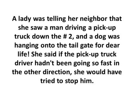 A lady was telling her neighbor that she saw a man driving a pick-up truck down the # 2, and a dog was hanging onto the tail gate for dear life! She said.