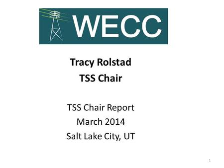 Tracy Rolstad TSS Chair TSS Chair Report March 2014 Salt Lake City, UT 1.