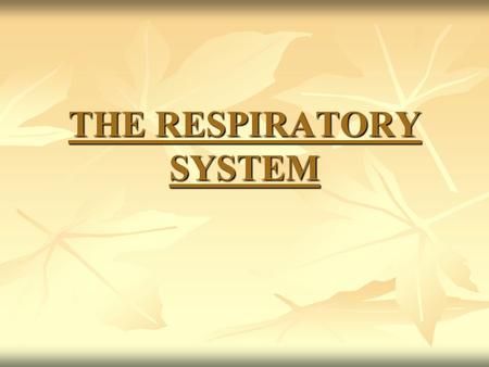 THE RESPIRATORY SYSTEM. THE HUMAN RESPIRATORY SYSTEM Organs of the Respiratory System 1.Nose 2.Pharynx 3.Larynx 4.Trachea 5.Bronchi 6.Alveoli 7.Lungs.