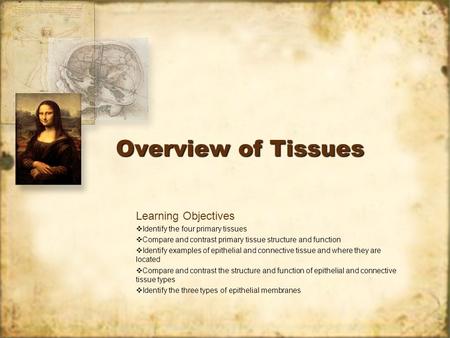 Overview of Tissues Learning Objectives