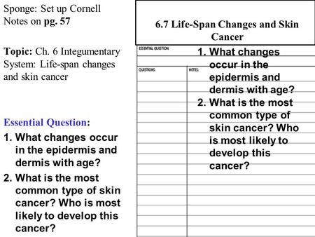 Sponge: Set up Cornell Notes on pg. 57 Topic: Ch. 6 Integumentary System: Life-span changes and skin cancer Essential Question: 1.What changes occur in.