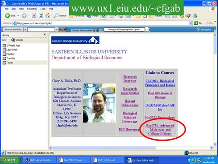 Www.ux1.eiu.edu/~cfgab. …and powerpoint files www.ux1.eiu.edu/~cfgab Lectures saved as Html files.. Click on “Part I-Overview“