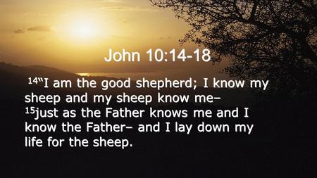 John 10:14-18 14 “I am the good shepherd; I know my sheep and my sheep know me– 15 just as the Father knows me and I know the Father– and I lay down my.