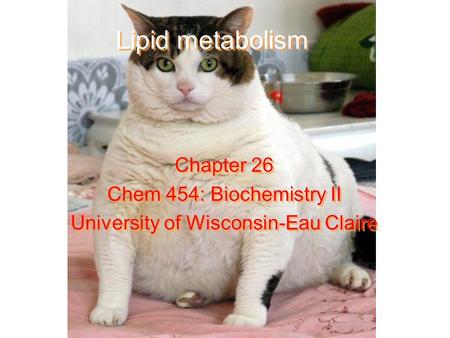 Lipid metabolism Chapter 26 Chem 454: Biochemistry II University of Wisconsin-Eau Claire Chapter 26 Chem 454: Biochemistry II University of Wisconsin-Eau.