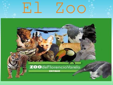 El Zoo.