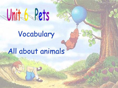 Vocabulary All about animals Who am I I am colorful, but I can’t live without water. I have long nose. I am the biggest animal on land. I am black and.