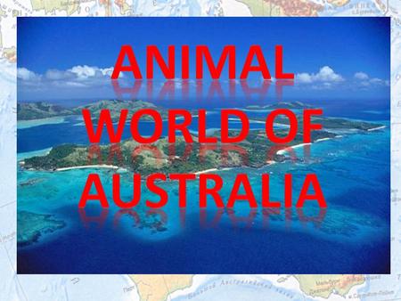 One of the symbols of Australia is kangaroo. There are at least 50 different types of kangaroos, which can be found only in Australia and New Zealand.