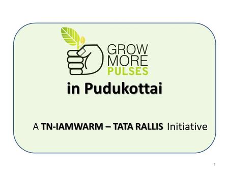 In Pudukottai TN-IAMWARM – TATA RALLIS A TN-IAMWARM – TATA RALLIS Initiative 1.