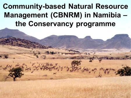 Community-based Natural Resource Management (CBNRM) in Namibia – the Conservancy programme.