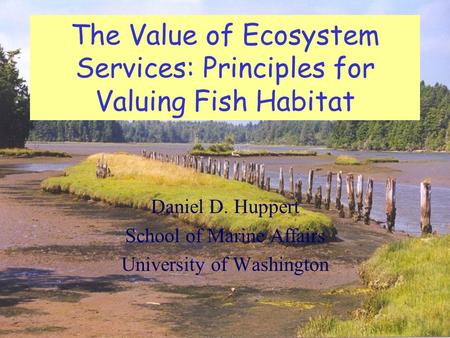 The Value of Ecosystem Services: Principles for Valuing Fish Habitat Daniel D. Huppert School of Marine Affairs University of Washington.
