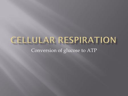 Conversion of glucose to ATP.  1. Overview  2. Purpose: To Get ATP!  3. Electron Carrier Molecules  4. Mitochondria  5. The Basics of Cell Respiration.