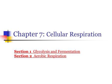 Chapter 7: Cellular Respiration