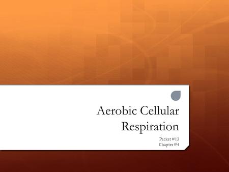 Aerobic Cellular Respiration