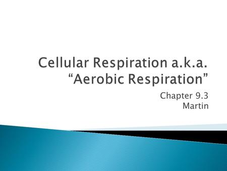 Chapter 9.3 Martin.  Cellular respiration: the process by which mitochondria break down food molecule to form ATP ◦ Happens in 3 stages  1. Glycolosis:
