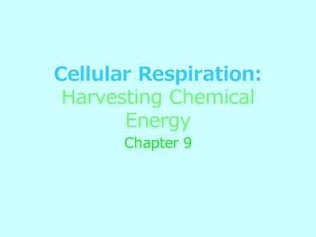 Cellular Respiration: Harvesting Chemical Energy Chapter 9.