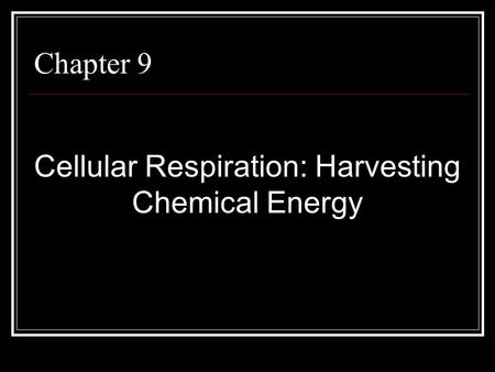 Chapter 9 Cellular Respiration: Harvesting Chemical Energy.