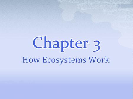 How Ecosystems Work. Section 1  Because plants make their own food, they are called producers.  Producers are also called autotrophs, or self-feeders.