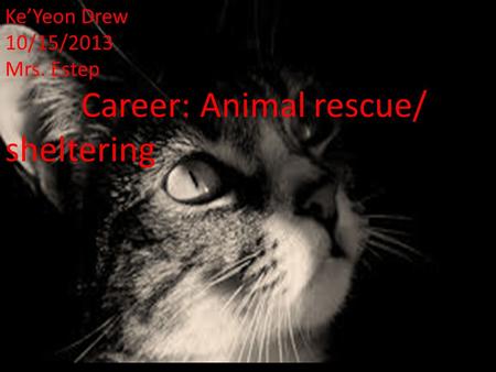 Ke’Yeon Drew 10/15/2013 Mrs. Estep Career: Animal rescue/ sheltering.