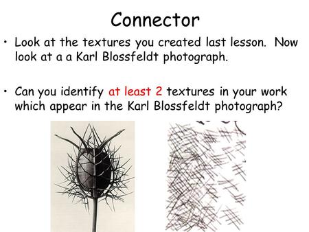Connector Look at the textures you created last lesson. Now look at a a Karl Blossfeldt photograph. Can you identify at least 2 textures in your work which.