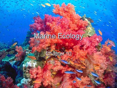 Marine Ecology Chapter 10.