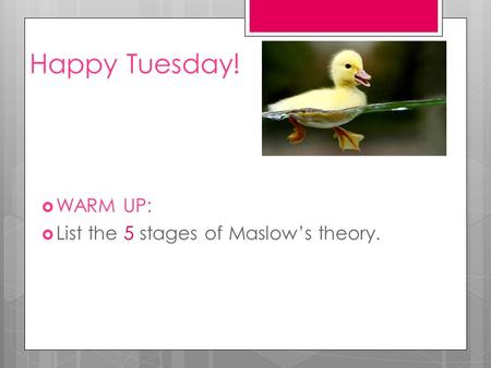 Happy Tuesday!  WARM UP:  List the 5 stages of Maslow’s theory.