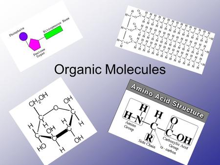 Organic Molecules. Carbohydrates AKA Sugars Monomer: Monosaccharide (single sugar) Structure: Carbon, Hydrogen, Oxygen 1:2:1 GlucoseSucrose C 6 H 12 O.