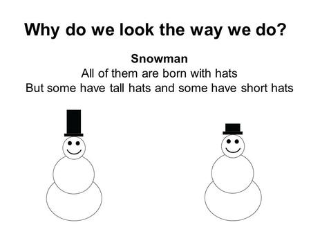 Why do we look the way we do? Snowman All of them are born with hats But some have tall hats and some have short hats.