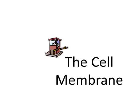 The Cell Membrane. What is the cell membrane? AKA: Plasma membrane The boundary between the cell and the environment Does every cell have a cell membrane?