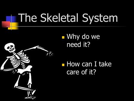The Skeletal System Why do we need it? How can I take care of it?