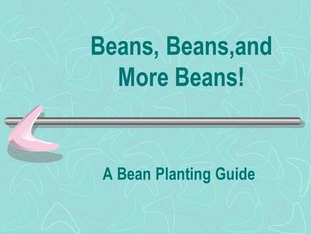 Beans, Beans,and More Beans! A Bean Planting Guide.