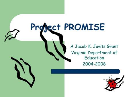 Project PROMISE A Jacob K. Javits Grant Virginia Department of Education 2004-2008.