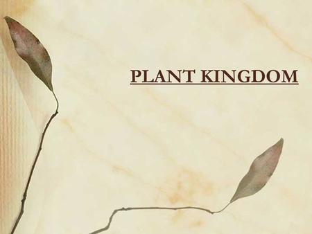 PLANT KINGDOM. Multicellular Photosynthetic Eukaryotic Tissues (xylem & phloem) Organ systems (leaves, stems, roots, flowers) Alternation of generations-