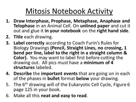Mitosis Notebook Activity 1.Draw Interphase, Prophase, Metaphase, Anaphase and Telophase in an Animal Cell. On unlined paper and cut it out and glue it.
