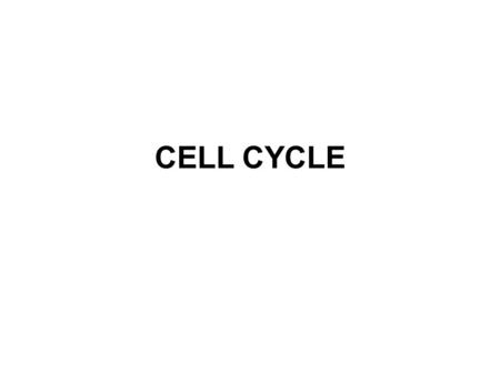 CELL CYCLE.