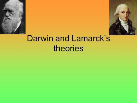 Darwin and Lamarck’s theories. Darwin’s theory Natural selection: The theory of evolution states that evolution happens by natural selection. The key.