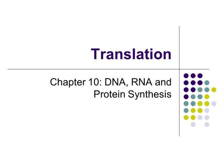 Chapter 10: DNA, RNA and Protein Synthesis
