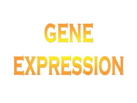 GENE EXPRESSION What is a gene? Mendel –Unit of inheritance conferring a phenotype Modern definition –Unit of DNA directing the synthesis of a polypeptide.