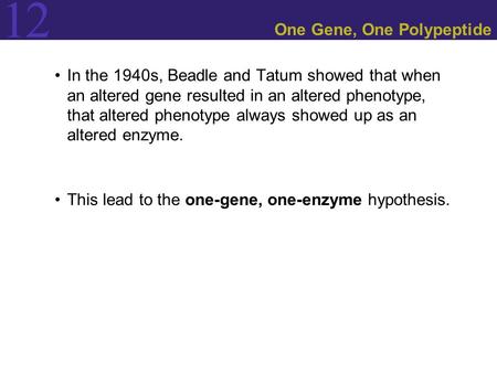 12 One Gene, One Polypeptide In the 1940s, Beadle and Tatum showed that when an altered gene resulted in an altered phenotype, that altered phenotype always.
