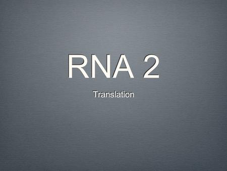 RNA 2 Translation.