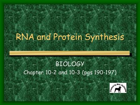 RNA and Protein Synthesis BIOLOGY Chapter 10-2 and 10-3 (pgs 190-197)