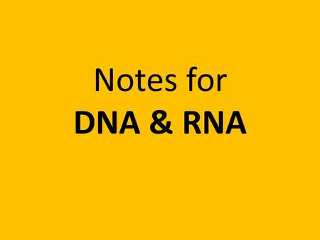 Notes for DNA & RNA. DNARNA Double stranded Single stranded Uses the base T Uses the base U Sugar is deoxyribose Sugar is ribose.