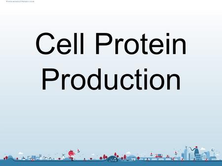 Cell Protein Production. Transcription : process of mRNA formation. 1. Triggered by chem. messengers from cytoplasm which bind to DNA 2. This causes release.
