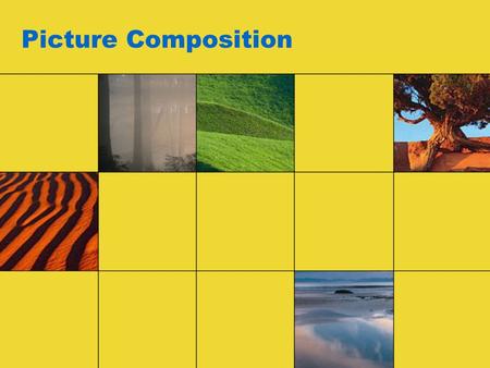 Picture Composition. There are two parts to taking good photographs –Exposure –Composition Exposure is the technical part of the photographic process.