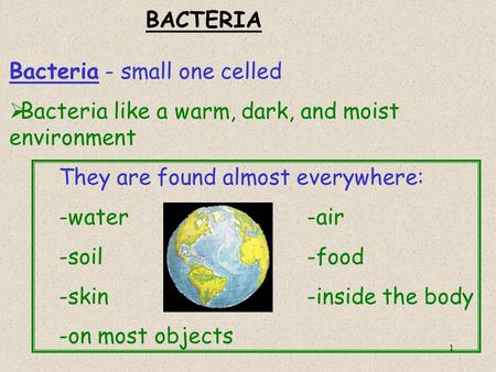 1 BACTERIA Bacteria - small one celled  Bacteria like a warm, dark, and moist environment They are found almost everywhere: -water-air -soil-food -skin-inside.