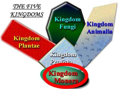 1 THE FIVE KINGDOMS. 2 Introduction to Bacteria Characteristics of Monerans Heterotroph - Get food from an outside source Autotroph – Make own food through.