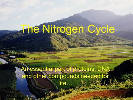The Nitrogen Cycle An essential part of proteins, DNA and other compounds needed for life…