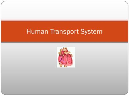 Human Transport System